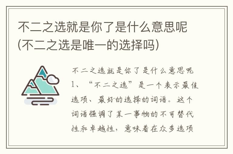 不二之选就是你了是什么意思呢(不二之选是唯一的选择吗)