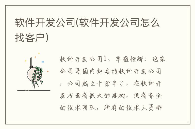 软件开发公司(软件开发公司怎么找客户)