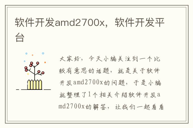 软件开发amd2700x，软件开发平台