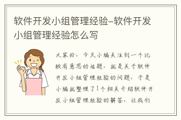 软件开发小组管理经验-软件开发小组管理经验怎么写