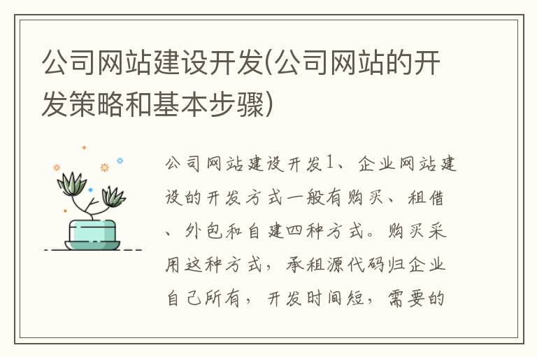 公司网站建设开发(公司网站的开发策略和基本步骤)