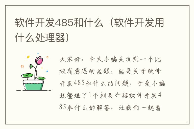 软件开发485和什么（软件开发用什么处理器）