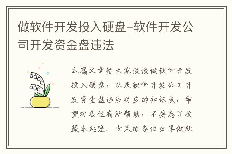 做软件开发投入硬盘-软件开发公司开发资金盘违法