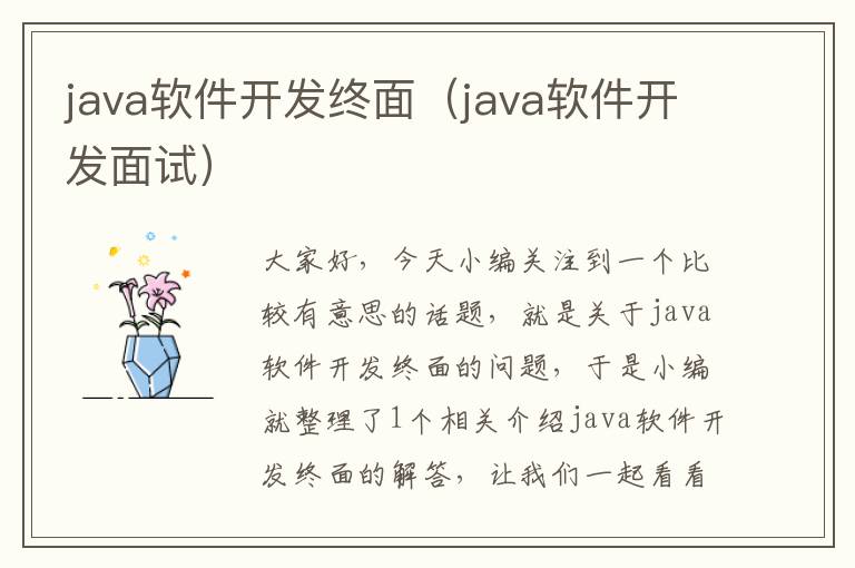 java软件开发终面（java软件开发面试）