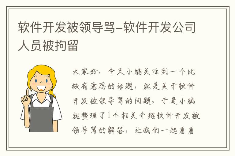 软件开发被领导骂-软件开发公司人员被拘留