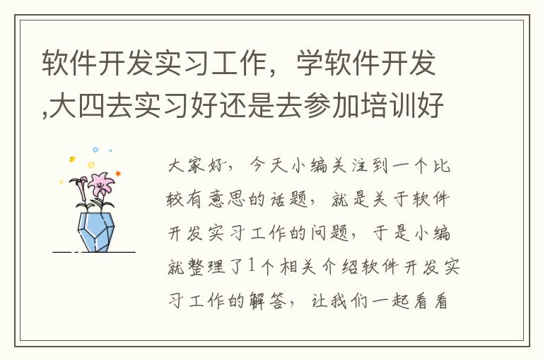 软件开发实习工作，学软件开发,大四去实习好还是去参加培训好?