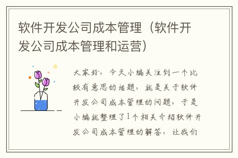 软件开发公司成本管理（软件开发公司成本管理和运营）