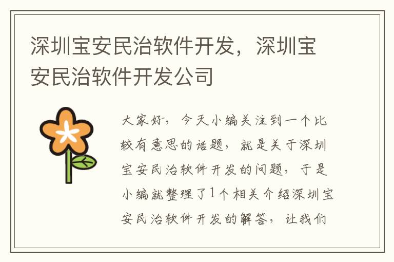 深圳宝安民治软件开发，深圳宝安民治软件开发公司