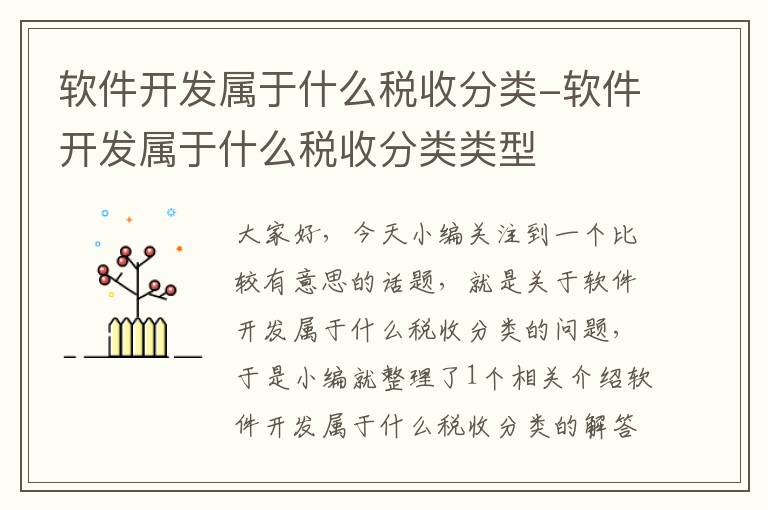 软件开发属于什么税收分类-软件开发属于什么税收分类类型