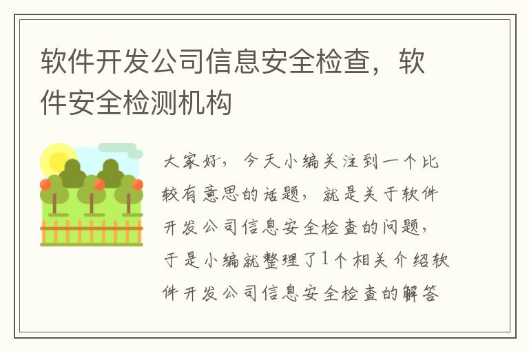 软件开发公司信息安全检查，软件安全检测机构