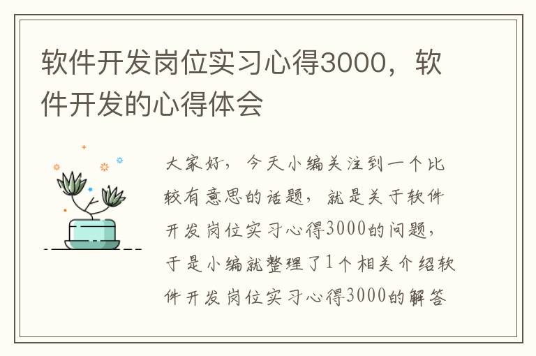 软件开发岗位实习心得3000，软件开发的心得体会