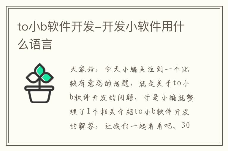 to小b软件开发-开发小软件用什么语言