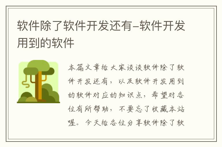 软件除了软件开发还有-软件开发用到的软件