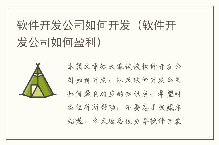 软件开发公司如何开发（软件开发公司如何盈利）