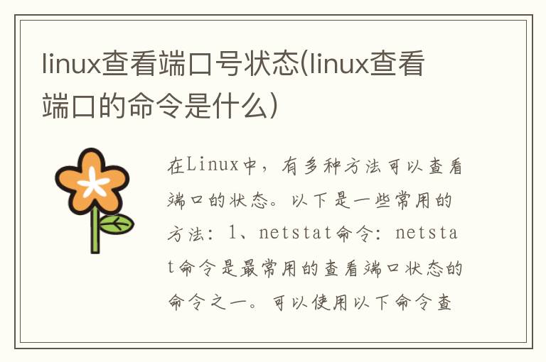 linux查看端口号状态(linux查看端口的命令是什么)