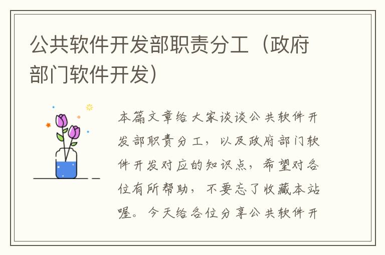 公共软件开发部职责分工（政府部门软件开发）