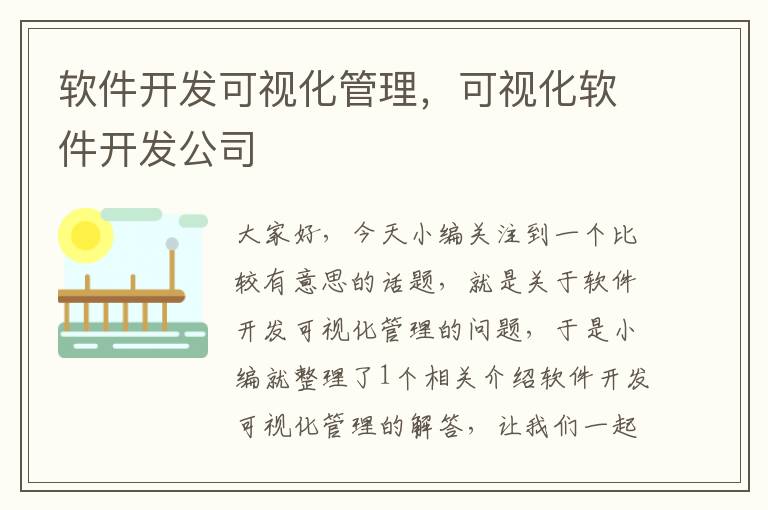 软件开发可视化管理，可视化软件开发公司