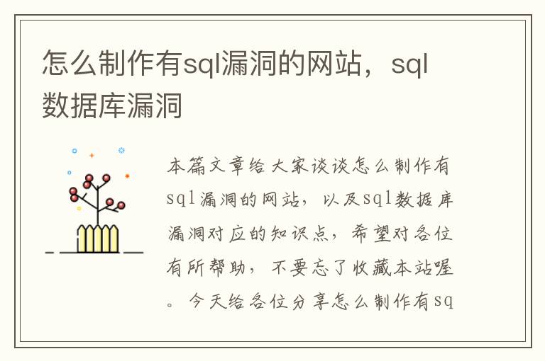 怎么制作有sql漏洞的网站，sql数据库漏洞