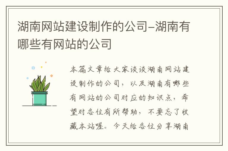 湖南网站建设制作的公司-湖南有哪些有网站的公司