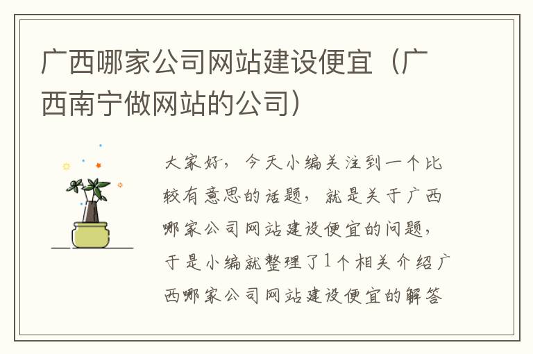 广西哪家公司网站建设便宜（广西南宁做网站的公司）