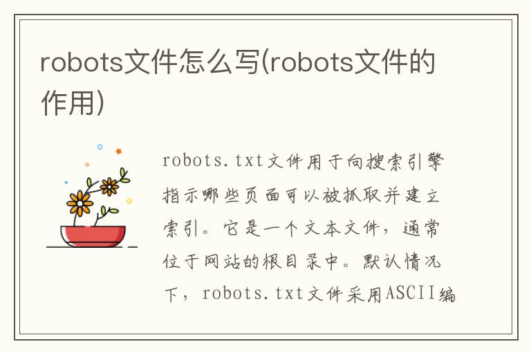 robots文件怎么写(robots文件的作用)