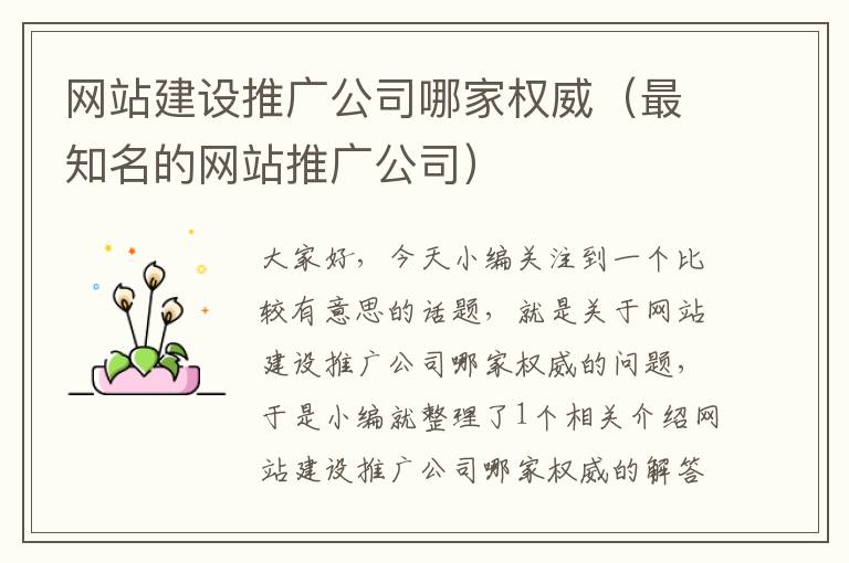 网站建设推广公司哪家权威（最知名的网站推广公司）