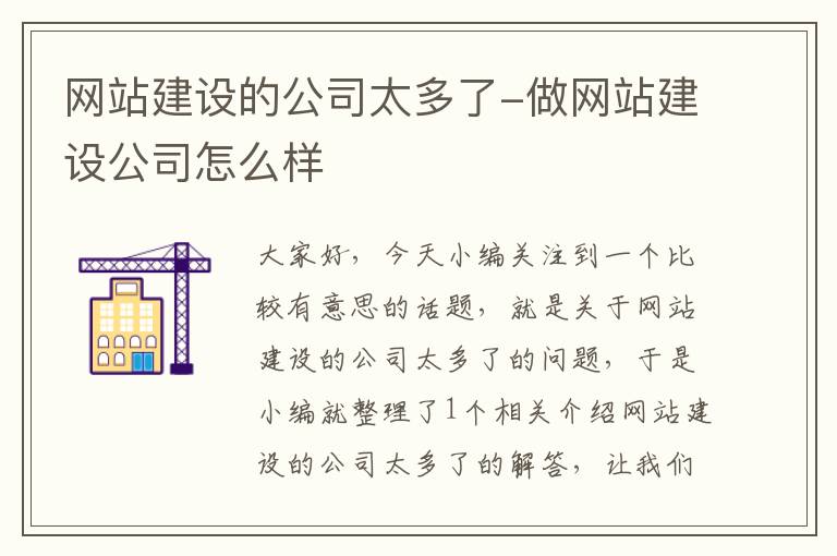 网站建设的公司太多了-做网站建设公司怎么样