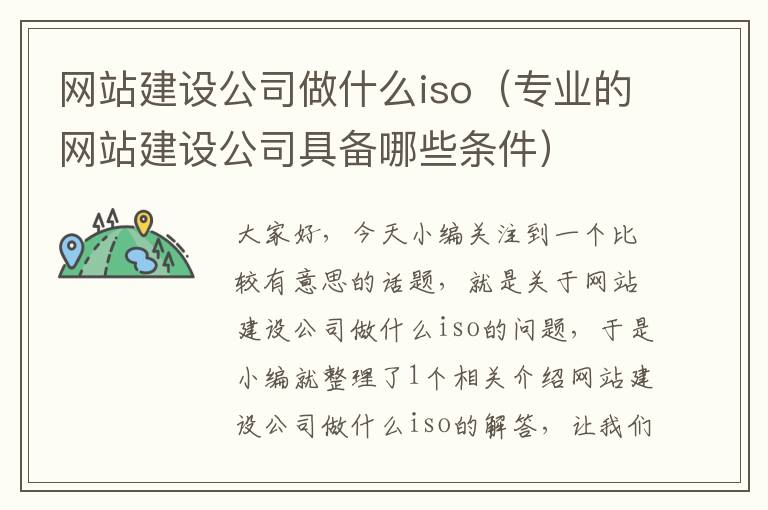 网站建设公司做什么iso（专业的网站建设公司具备哪些条件）