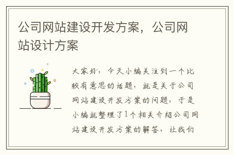 公司网站建设开发方案，公司网站设计方案