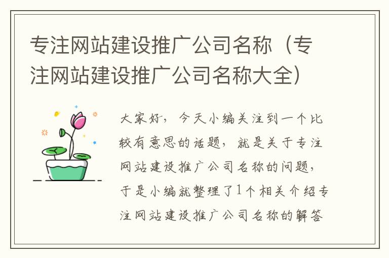 专注网站建设推广公司名称（专注网站建设推广公司名称大全）