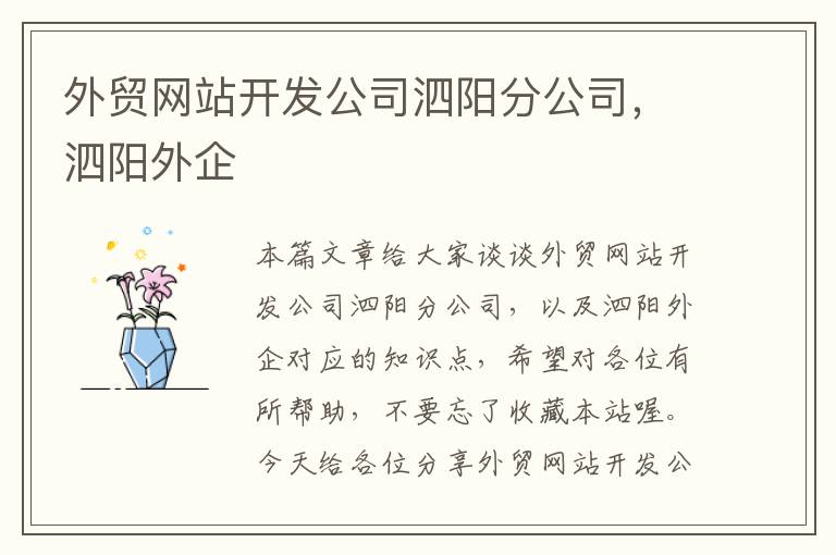 外贸网站开发公司泗阳分公司，泗阳外企