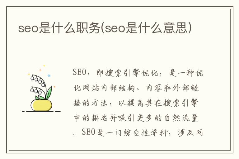 seo是什么职务(seo是什么意思)