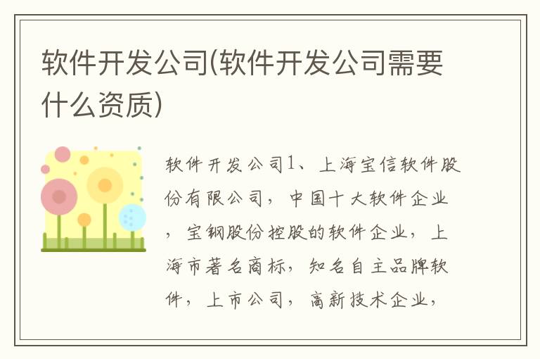 软件开发公司(软件开发公司需要什么资质)