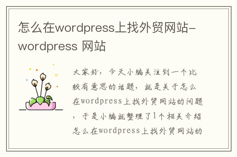 怎么在wordpress上找外贸网站-wordpress 网站