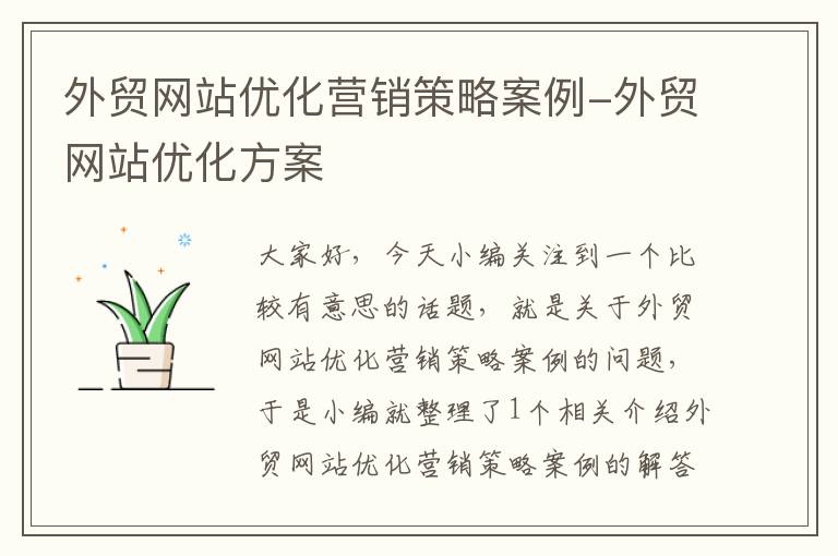 外贸网站优化营销策略案例-外贸网站优化方案