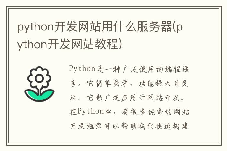 python开发网站用什么服务器(python开发网站教程)