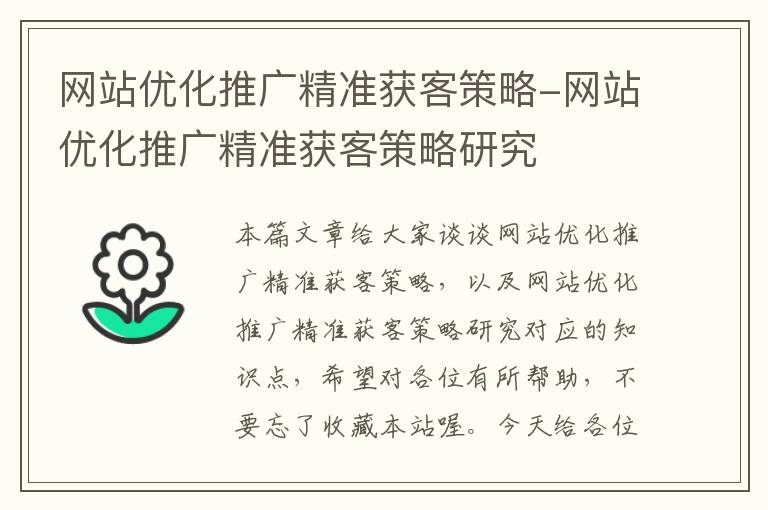 网站优化推广精准获客策略-网站优化推广精准获客策略研究