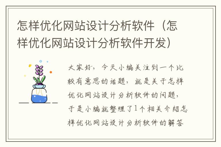 怎样优化网站设计分析软件（怎样优化网站设计分析软件开发）