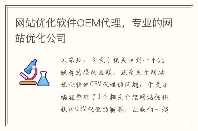 网站优化软件OEM代理，专业的网站优化公司