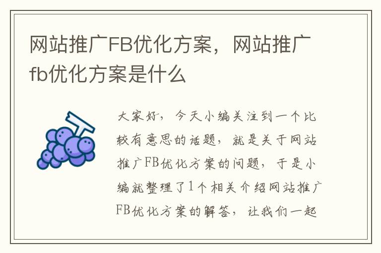 网站推广FB优化方案，网站推广fb优化方案是什么