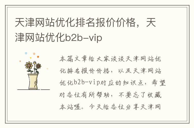 天津网站优化排名报价价格，天津网站优化b2b-vip