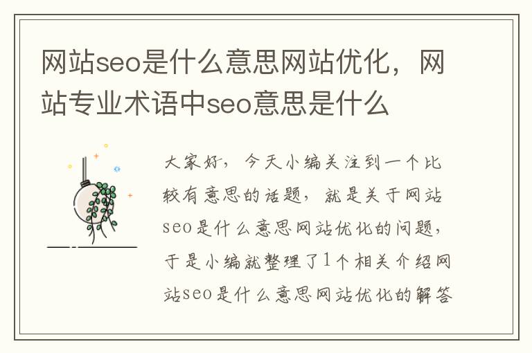 网站seo是什么意思网站优化，网站专业术语中seo意思是什么