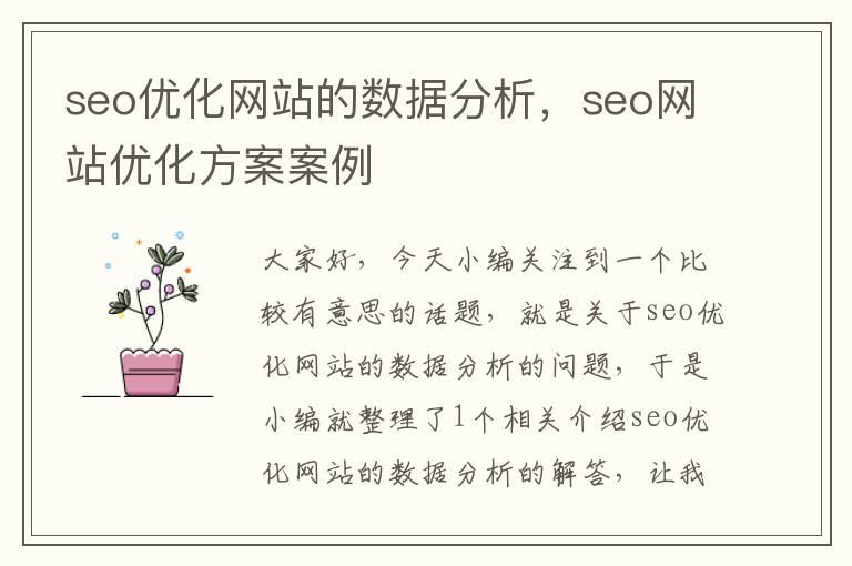 seo优化网站的数据分析，seo网站优化方案案例