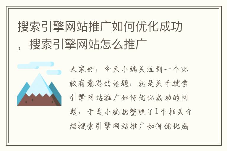 搜索引擎网站推广如何优化成功，搜索引擎网站怎么推广