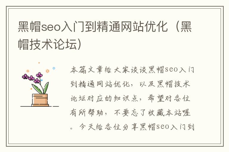 黑帽seo入门到精通网站优化（黑帽技术论坛）