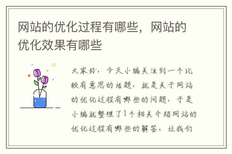 网站的优化过程有哪些，网站的优化效果有哪些