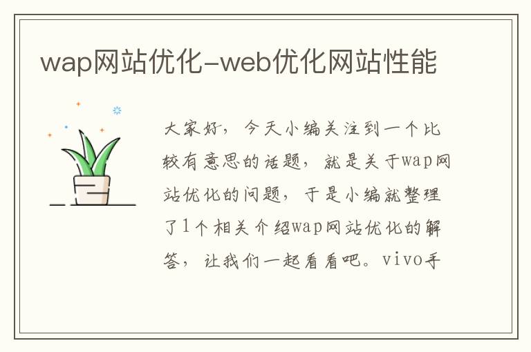 wap网站优化-web优化网站性能