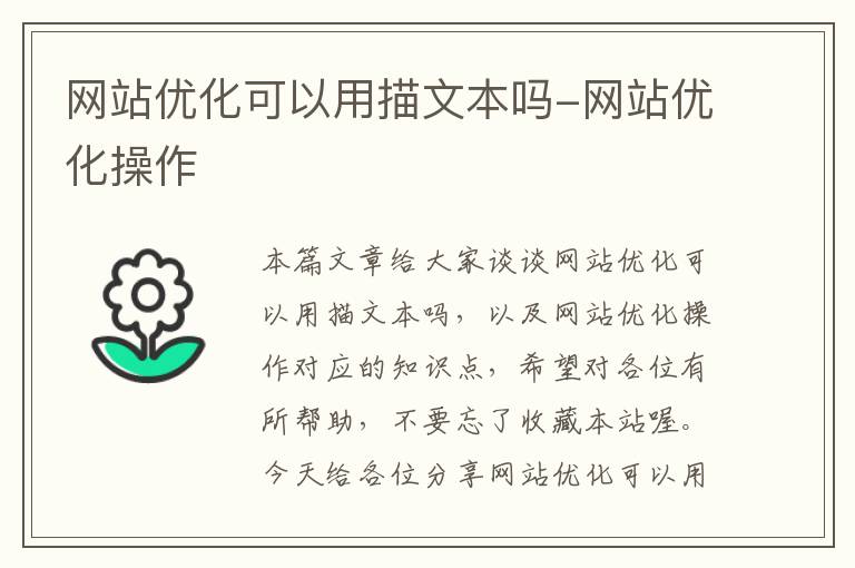 网站优化可以用描文本吗-网站优化操作