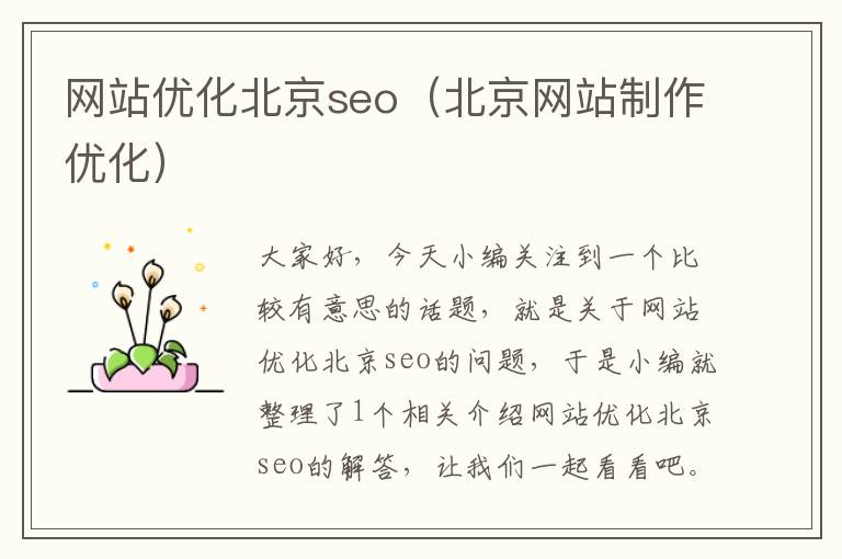 网站优化北京seo（北京网站制作优化）