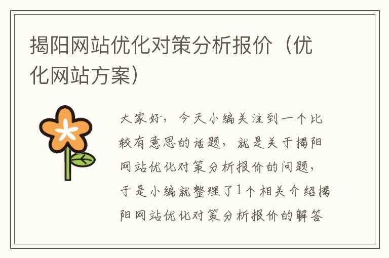 揭阳网站优化对策分析报价（优化网站方案）